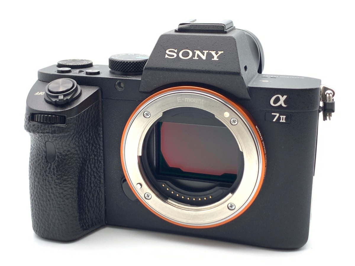 価格.com - SONY α NEX-5RY ダブルズームレンズキット [シルバー] 純正オプション