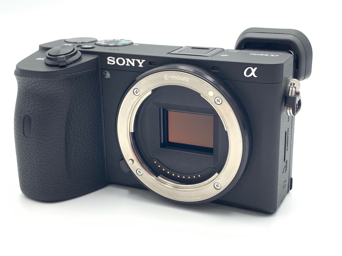 SONY α6600 ILCE-6600 ボディ | nate-hospital.com