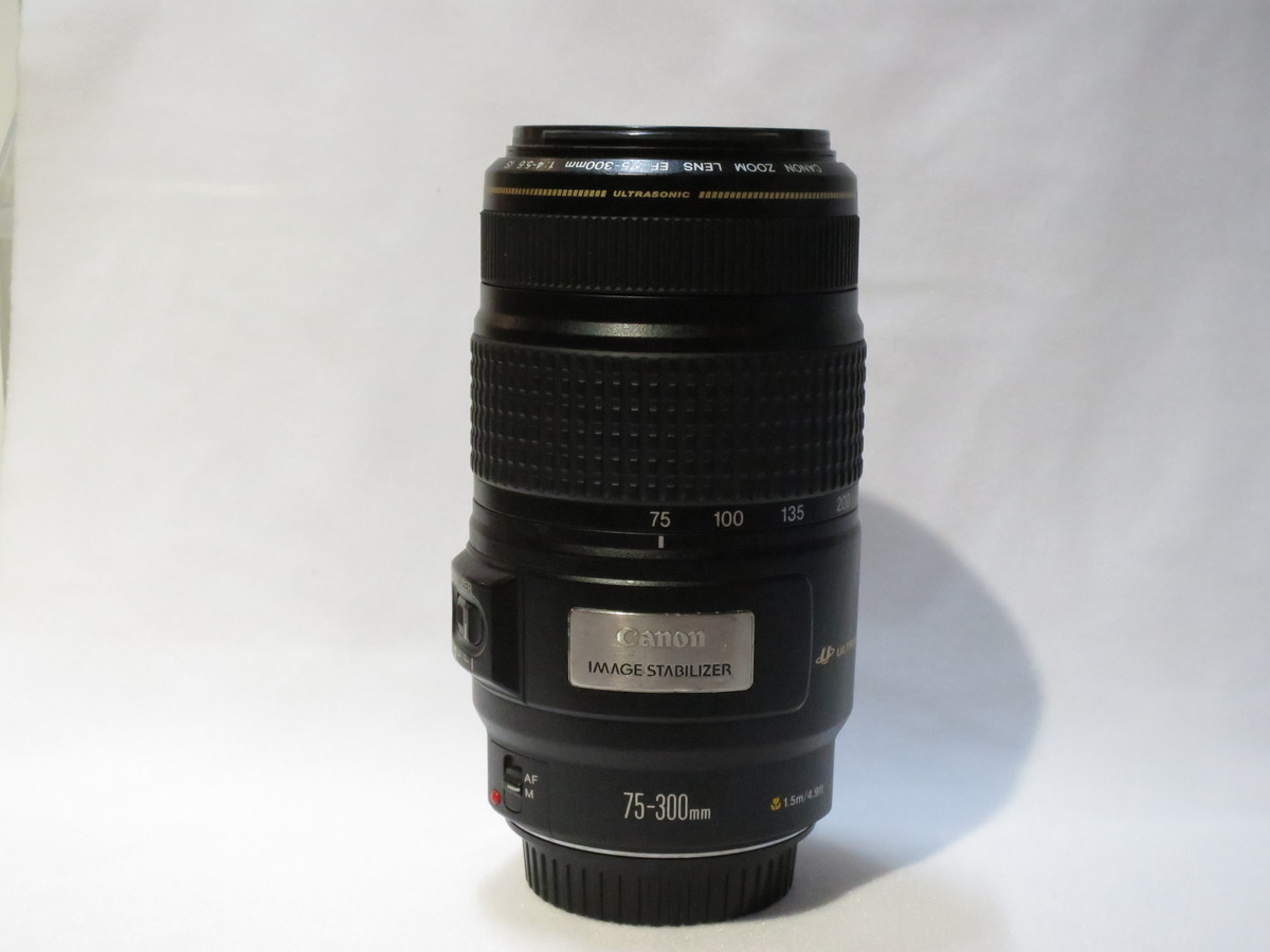 Canon ダブルズームレンズ EF 35-80mm, 75-300mm - その他