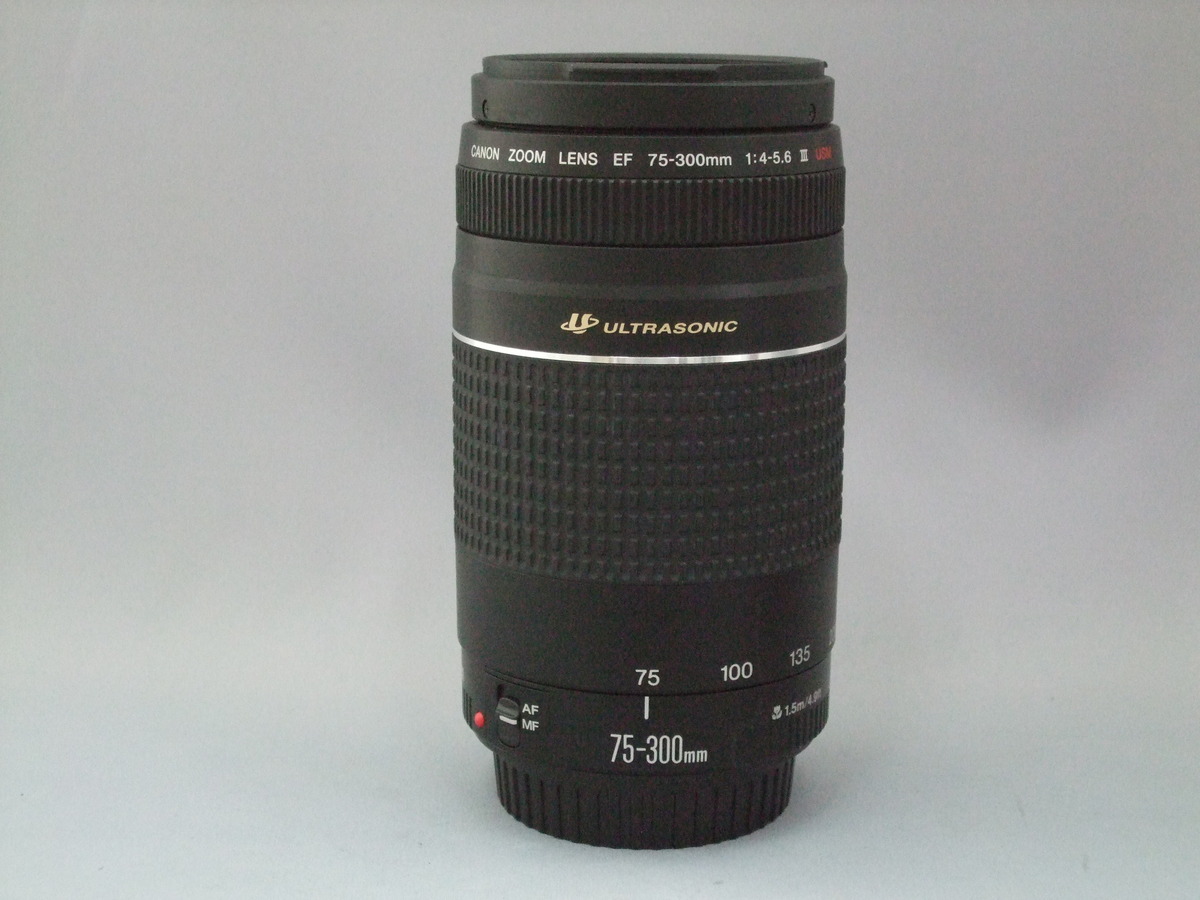 半額】 Canon EF 75-300mm F4-5.6 IS ⅲ USM レンズ | www.takalamtech.com