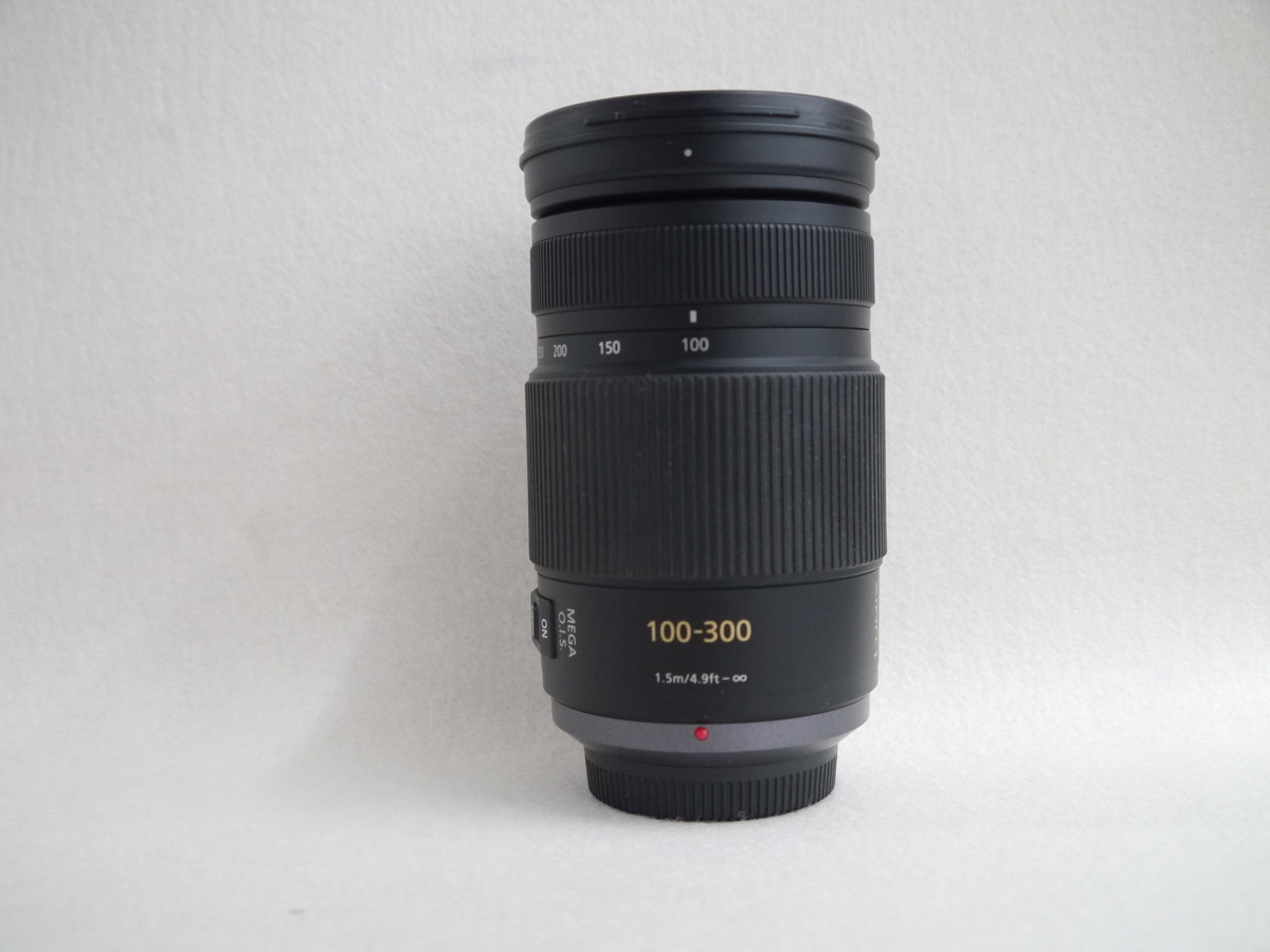 望遠レンズ◇LUMIX G VARIO 100-300mm H-FS100300 - カメラ