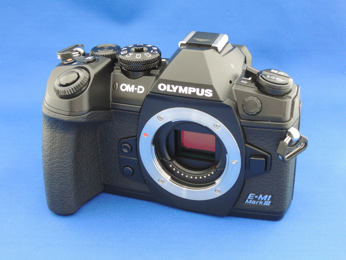 OLYMPUS OM-D E-M1 Mark III ボディ オマケ付き - カメラ