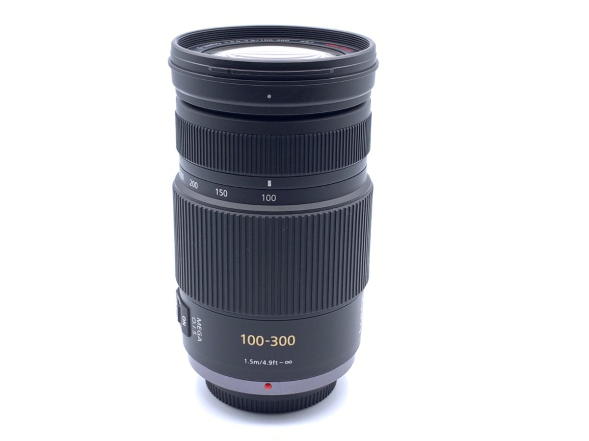 Lumix 望遠レンズ 100-300/F4.0-5.6 H-FS100300-