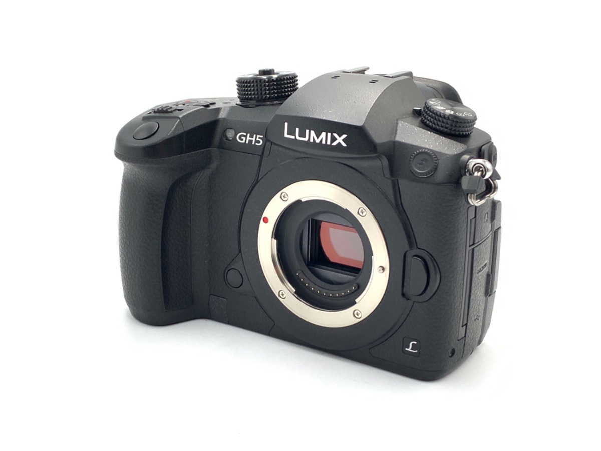 デジタル一眼カメラ LUMIX DMC-GF2 ボディ - カメラ