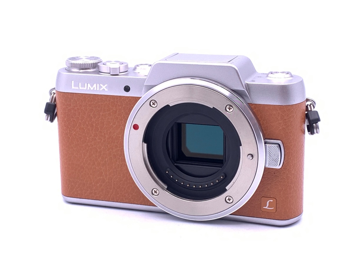 価格.com - パナソニック LUMIX DMC-G3 ボディ 純正オプション