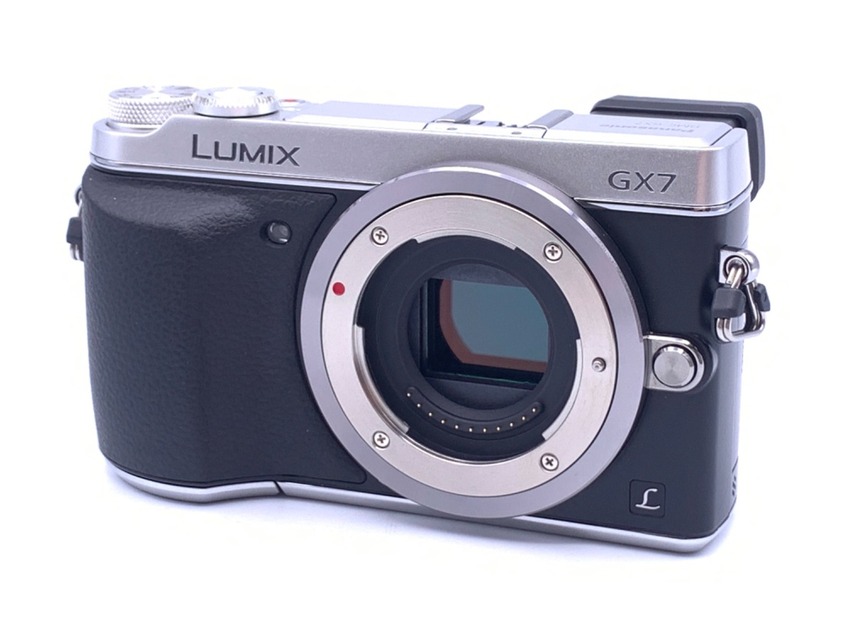 teitei様用 Lumix DMC-G2 ダブルズームレンズキット-