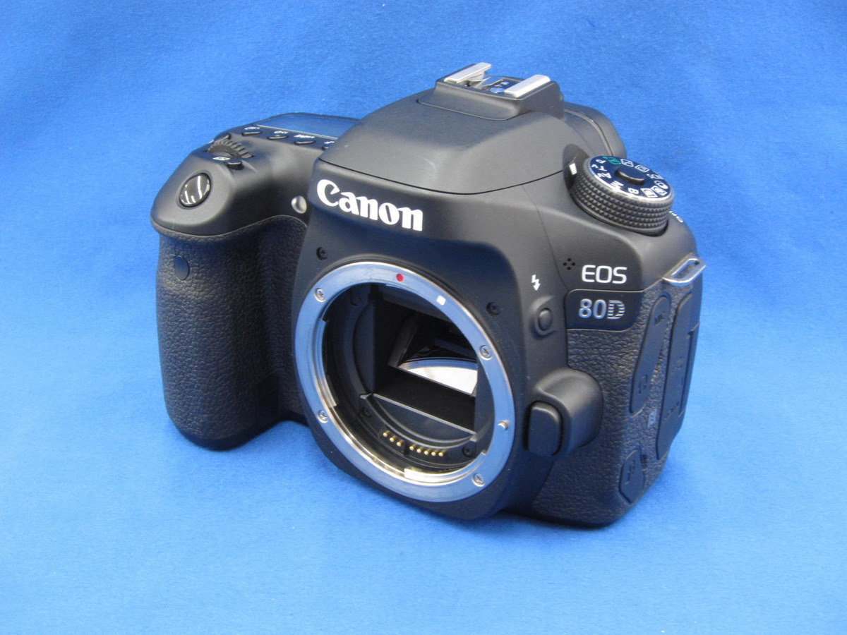 Canon EOS 80D (W) 本体 ボディ リモコン・SDカード付き - デジタルカメラ