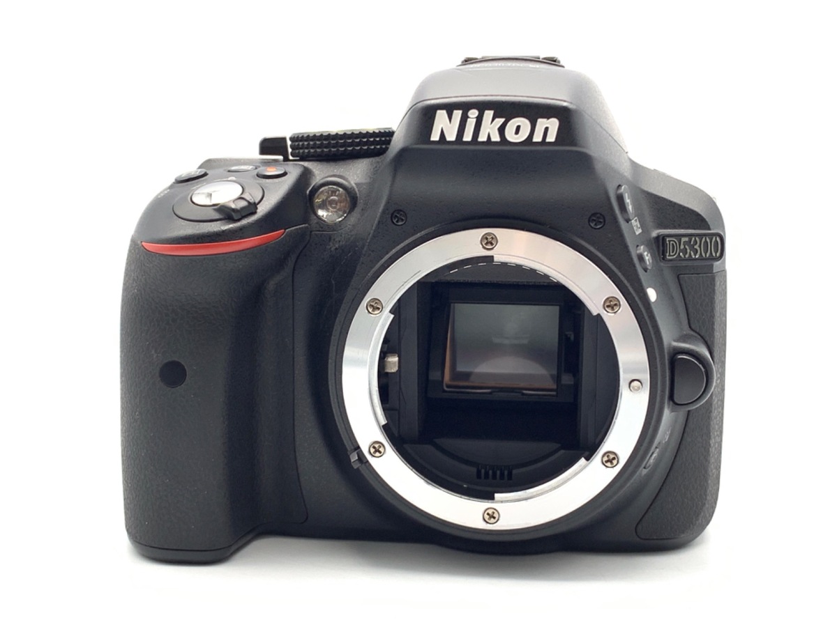 NikonカメラD53000