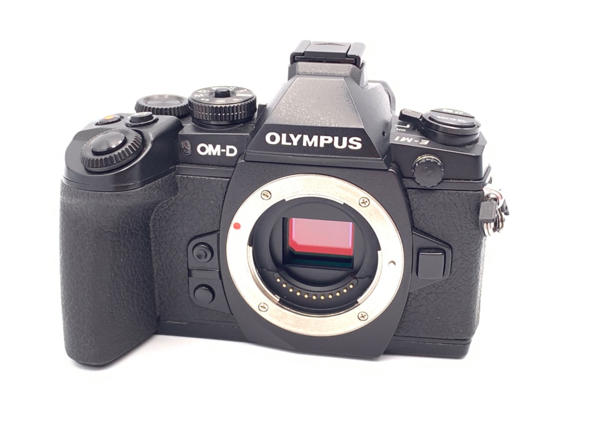 中古 １年保証 偉い 美品 OLYMPUS PEN E-PL10 14-42mm EZ レンズキット ブラック オリンパス | 97％以上節約