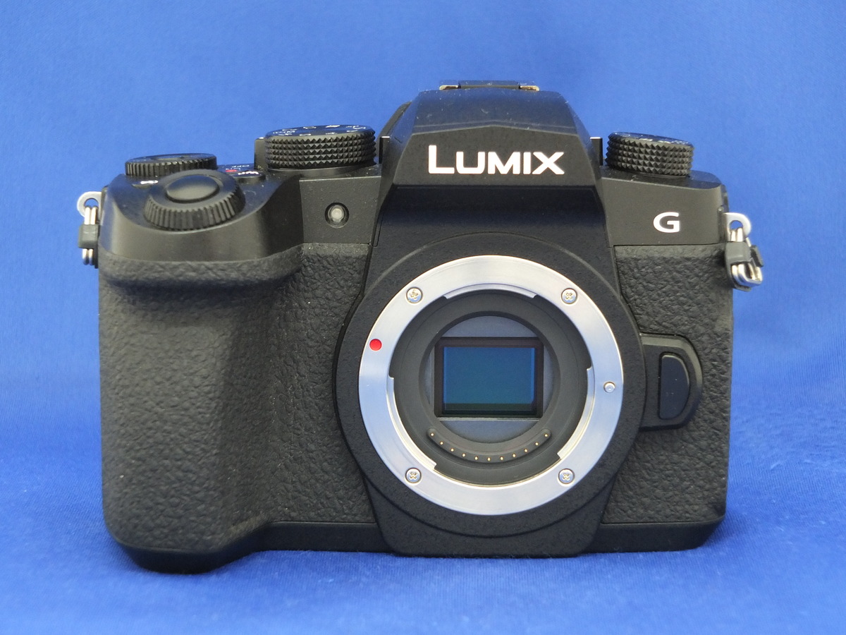 パナソニック LUMIX DC-G99 ボディ - カメラ、光学機器