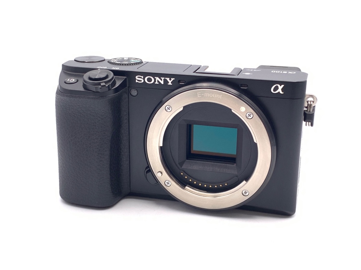日本最大のブランド ソニー SONY デジタル一眼レフカメラ α330 ダブル